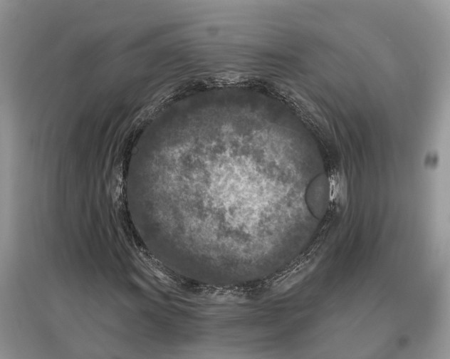 X0000097291011200803071727