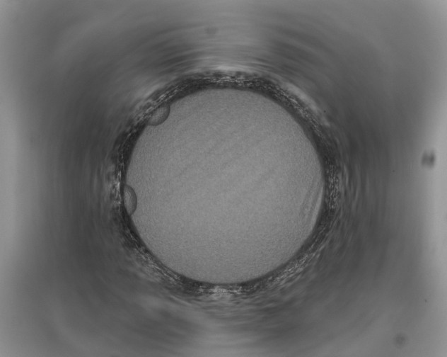 X0000097291013200803071727