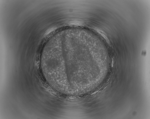 X0000097291015200803071727