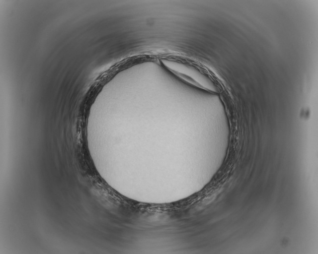 X0000097291016200803071727