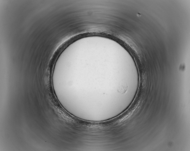 X0000097291021200803071727