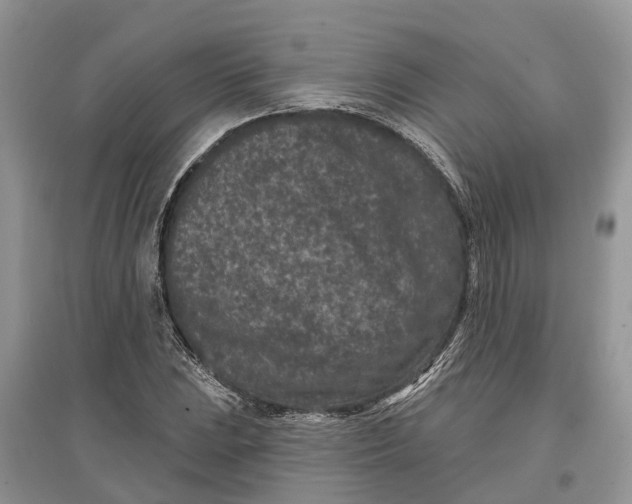 X0000097291023200803071727