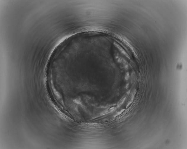 X0000097291024200803071727