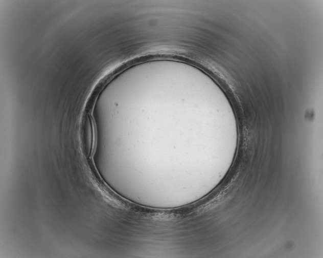 X0000097291029200803071727