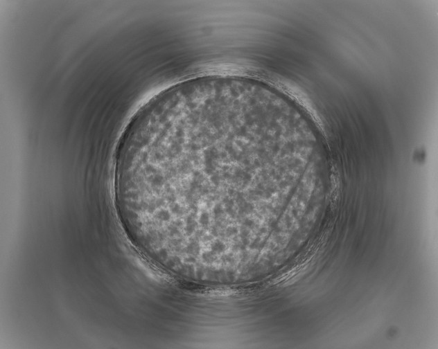 X0000097291035200803071727