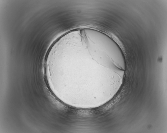 X0000097291036200803071727