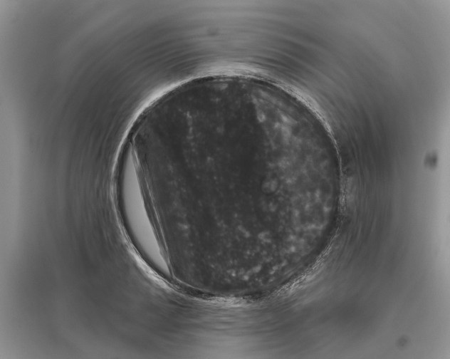 X0000097291037200803071728