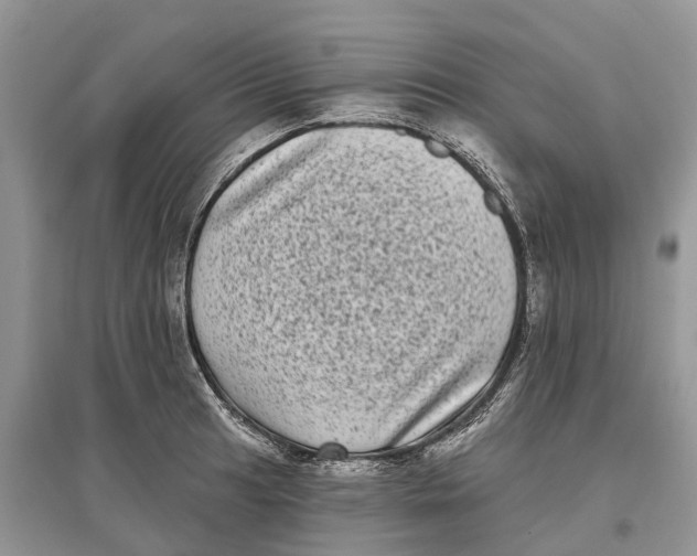 X0000097291041200803071728
