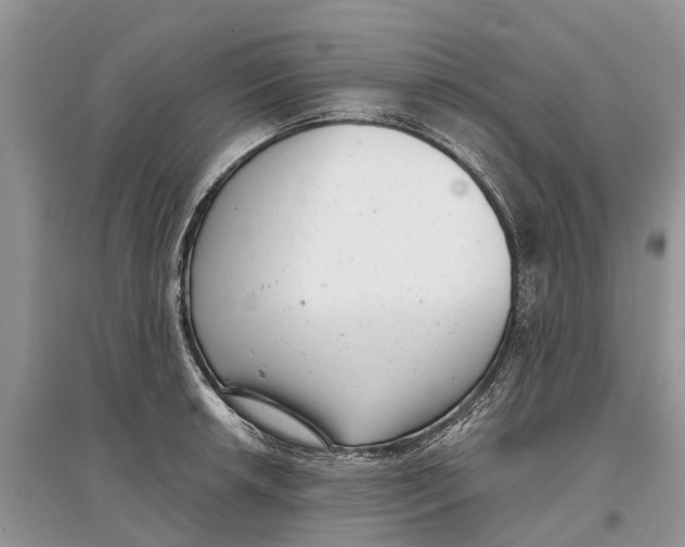 X0000097291042200803071728