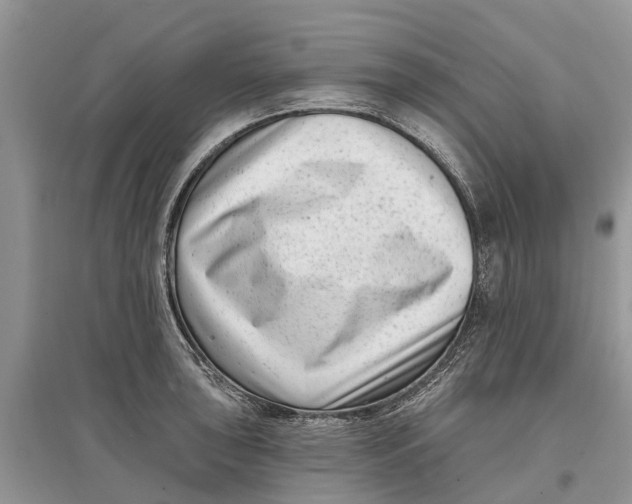 X0000097291043200803071728