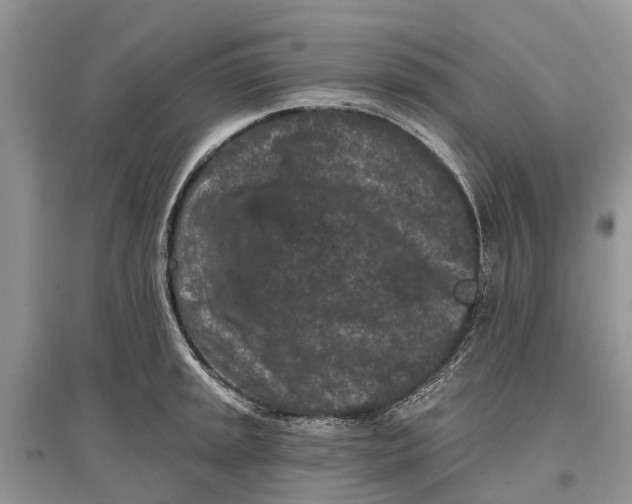 X0000097291045200803071728