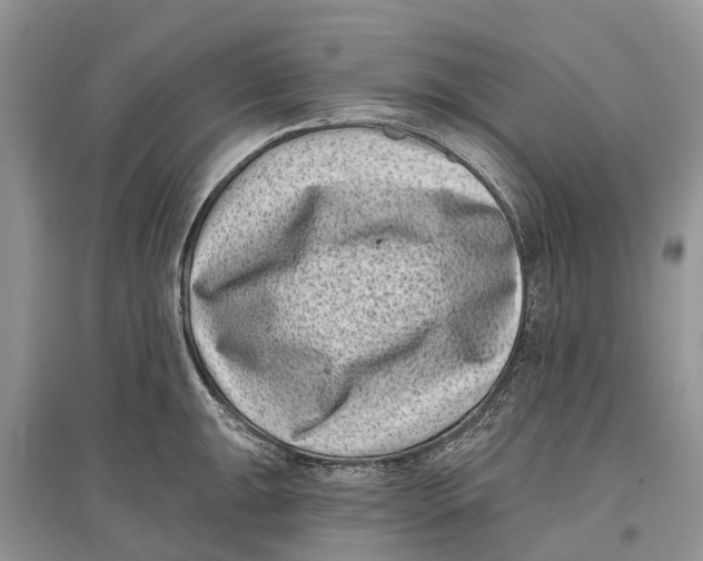 X0000097291047200803071728