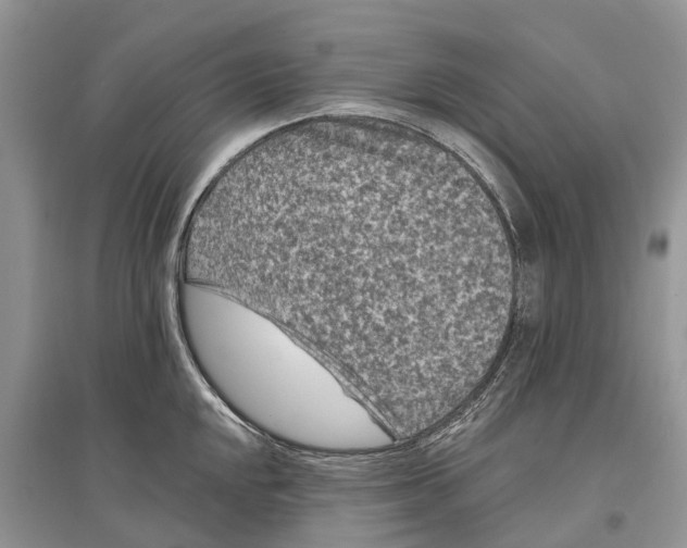 X0000097291048200803071728