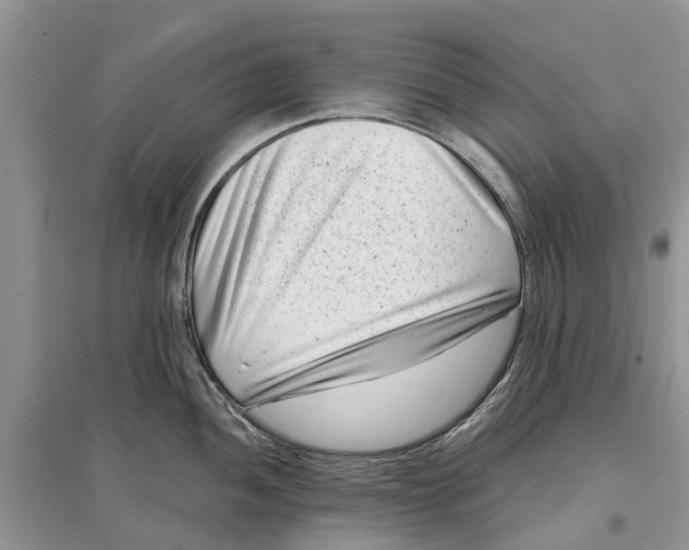 X0000097291052200803071728