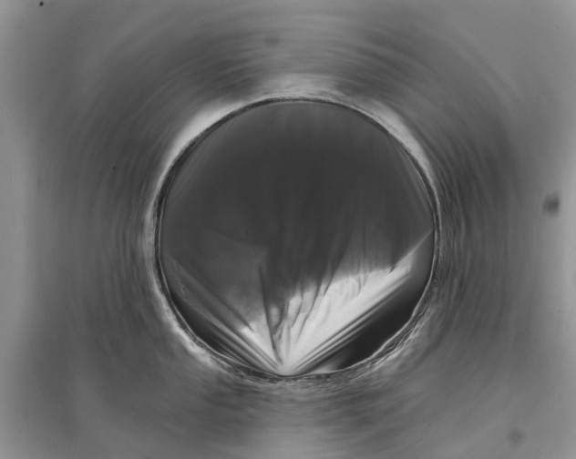 X0000097291053200803071728