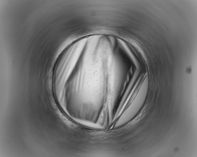 X0000097291054200803071728