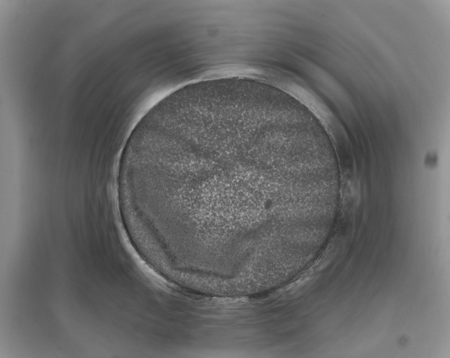 X0000097291055200803071728