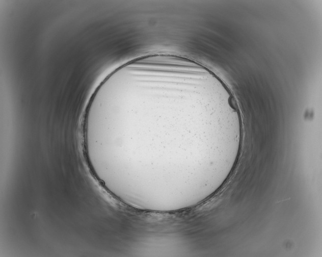 X0000097291056200803071728