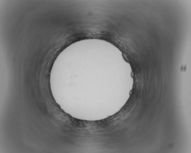 X0000097291057200803071727