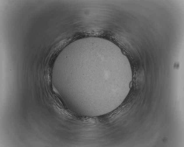 X0000097291058200803071727