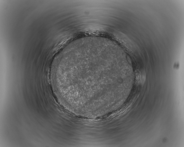X0000097291060200803071727