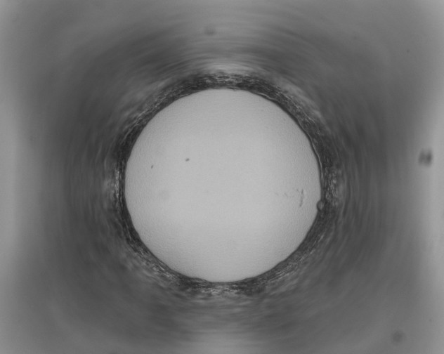 X0000097291061200803071727