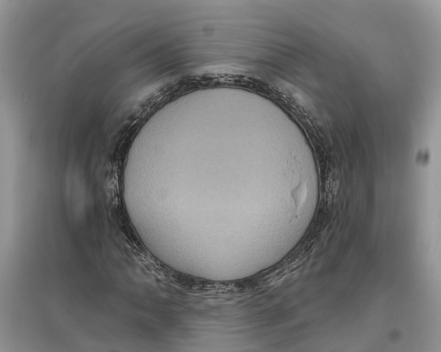 X0000097291062200803071727