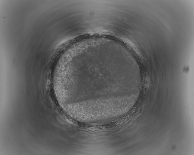 X0000097291063200803071727