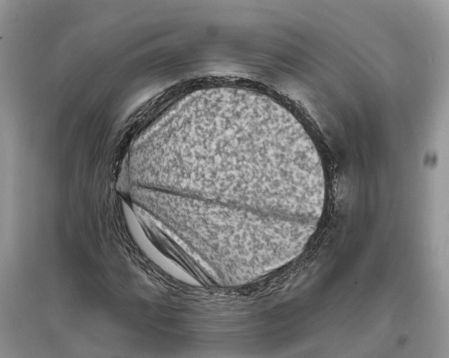 X0000097291064200803071727