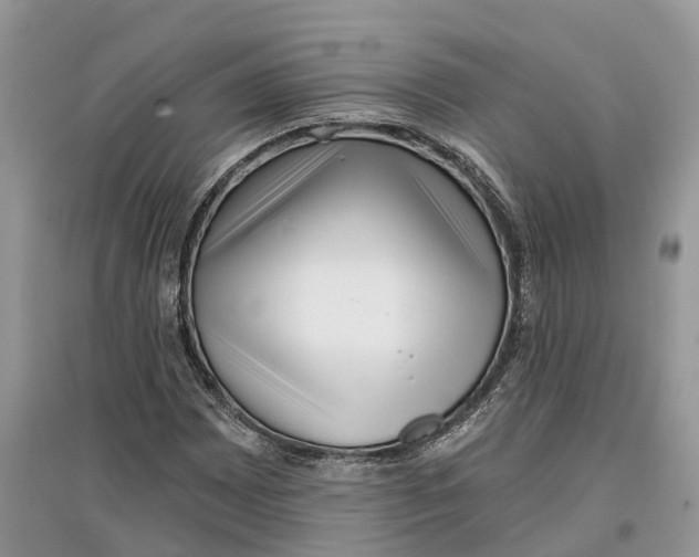 X0000097291065200803071727