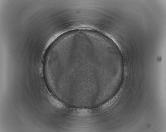 X0000097291066200803071727