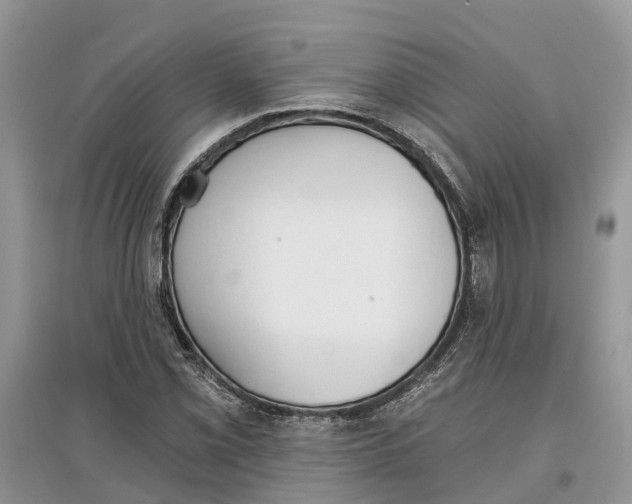 X0000097291069200803071727