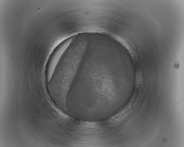 X0000097291071200803071727