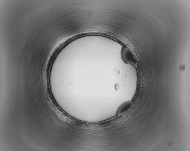 X0000097291072200803071727