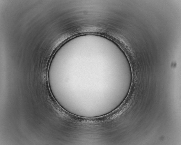 X0000097291073200803071727