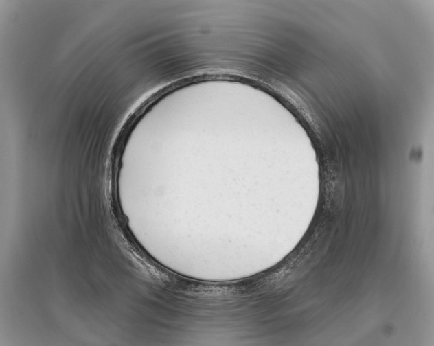 X0000097291076200803071727