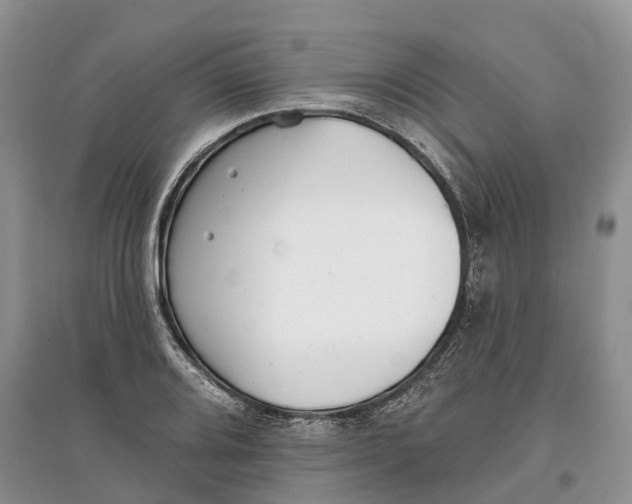 X0000097291080200803071727