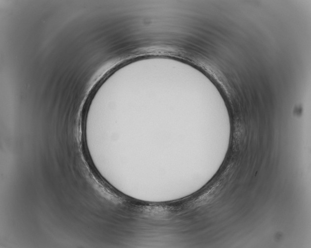 X0000097291082200803071727