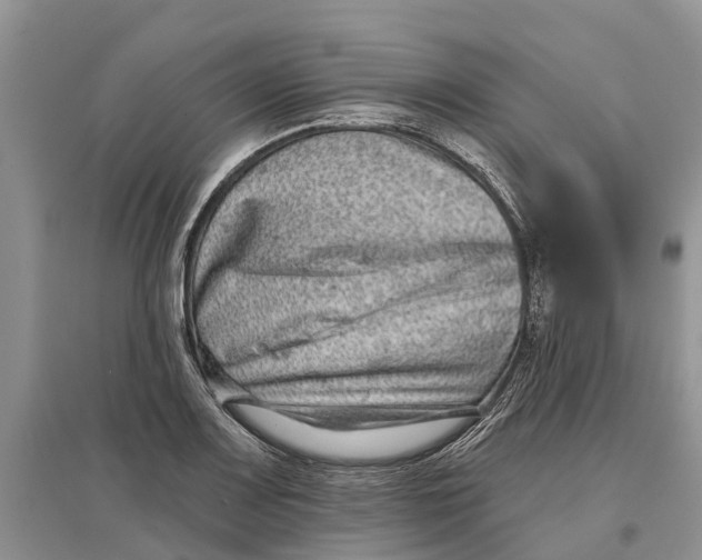 X0000097291083200803071727