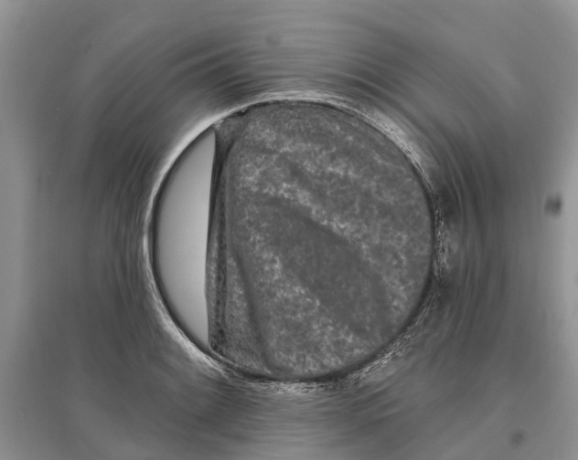 X0000097291084200803071727