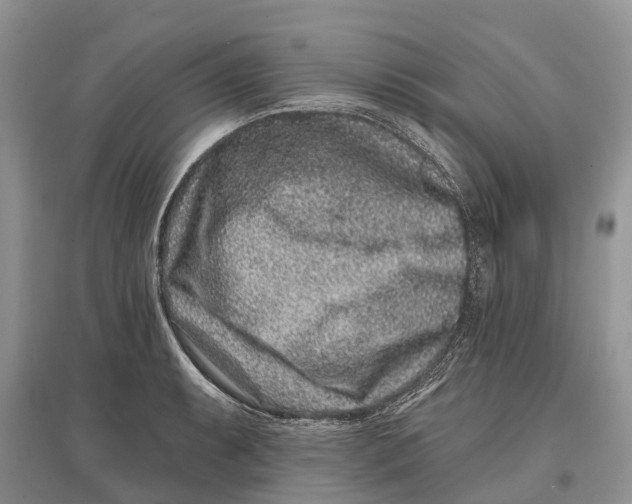 X0000097291087200803071727