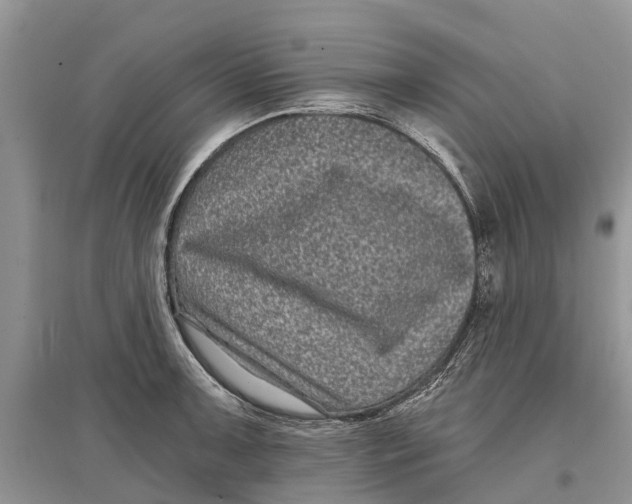 X0000097291091200803071727