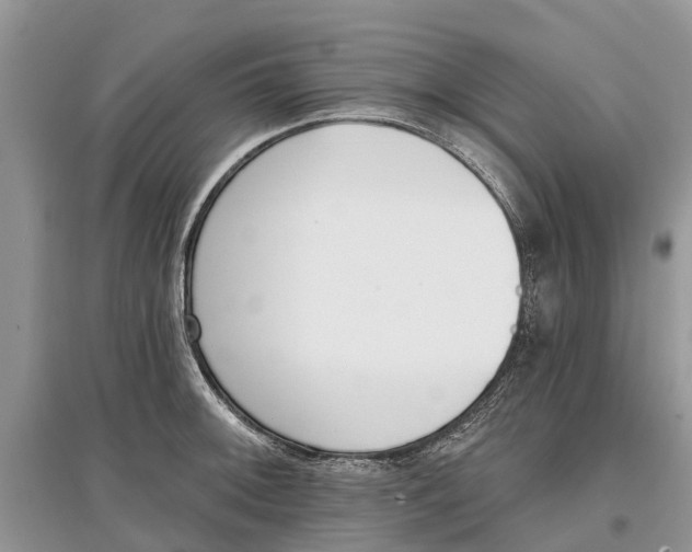 X0000097291092200803071727
