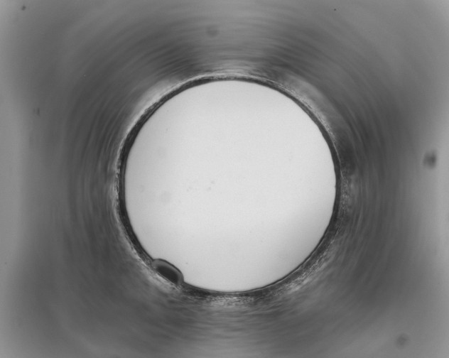 X0000097291093200803071727