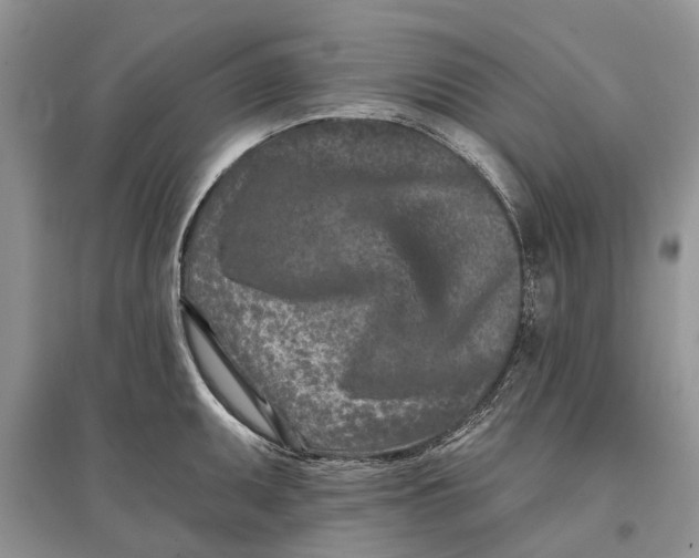 X0000097291095200803071727