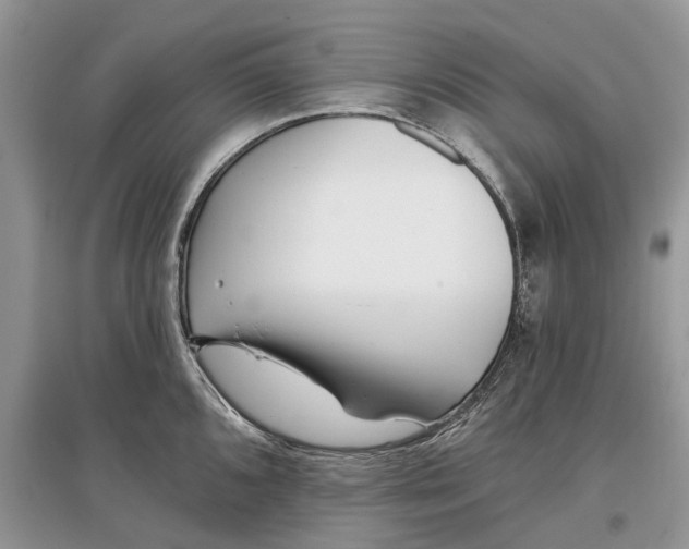 X0000097291096200803071727