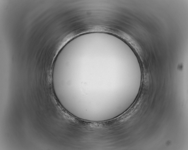 X0000097291097200803071727