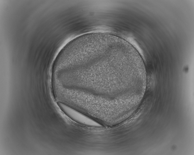 X0000097291099200803071727