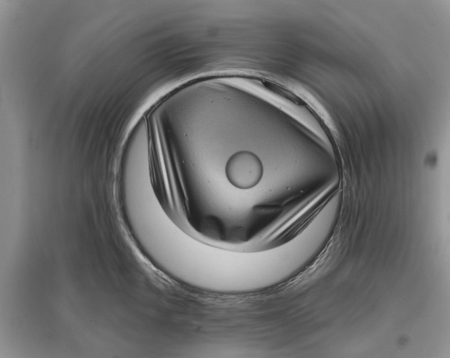 X0000097291101200803071727