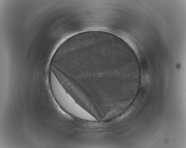 X0000097291102200803071727